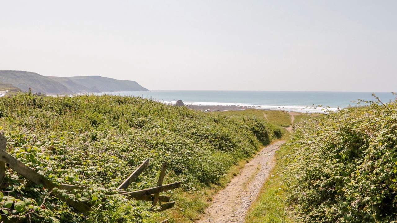 Photo of Others in Widemouth Bay