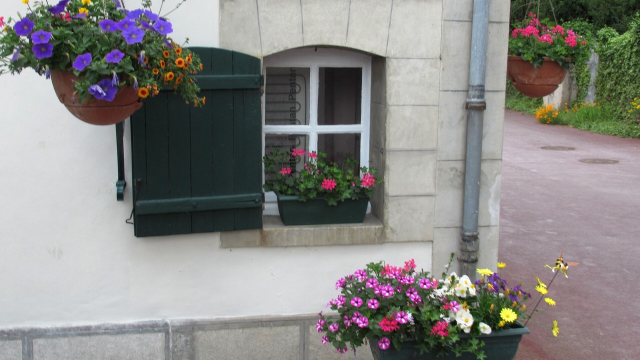 Photo of Outdoor in Heutregiville