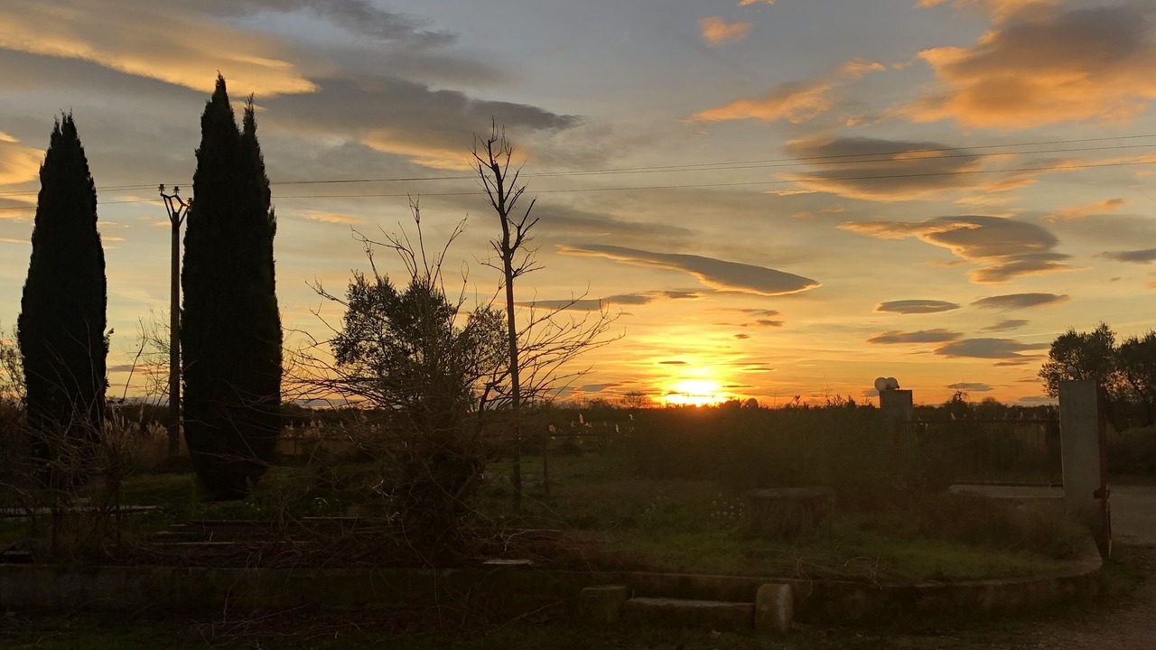 Photo of Outdoor in Saint-Laurent-d'Aigouze