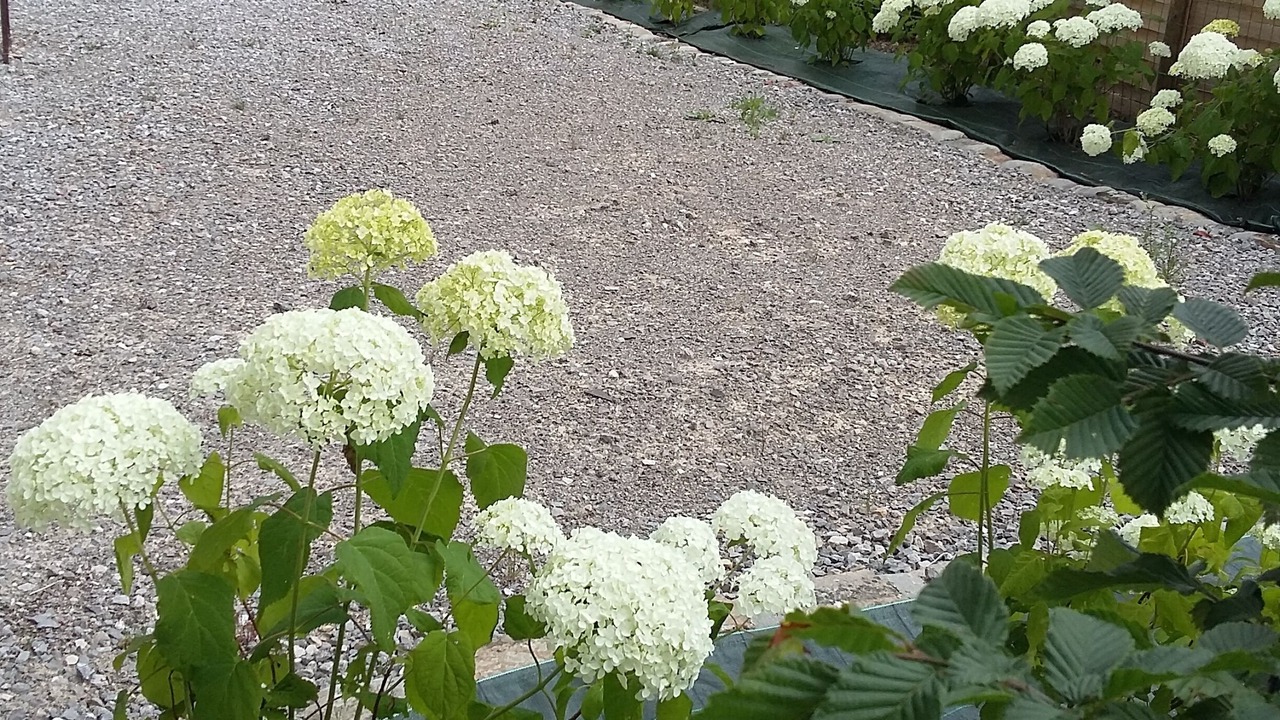 Photo of Outdoor in Fruges