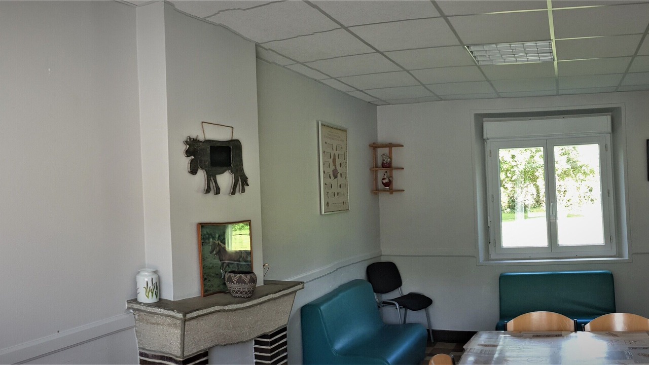 Photo of Others in Tribehou