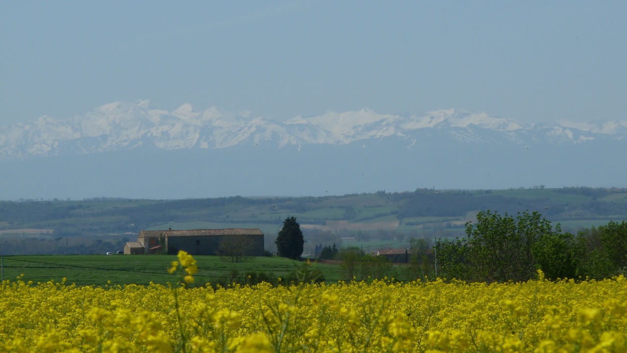 Photo of Outdoor in Saint-Felix-Lauragais