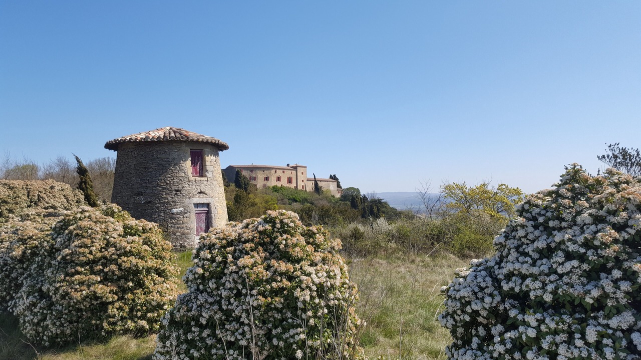 Photo of Outdoor in Saint-Felix-Lauragais