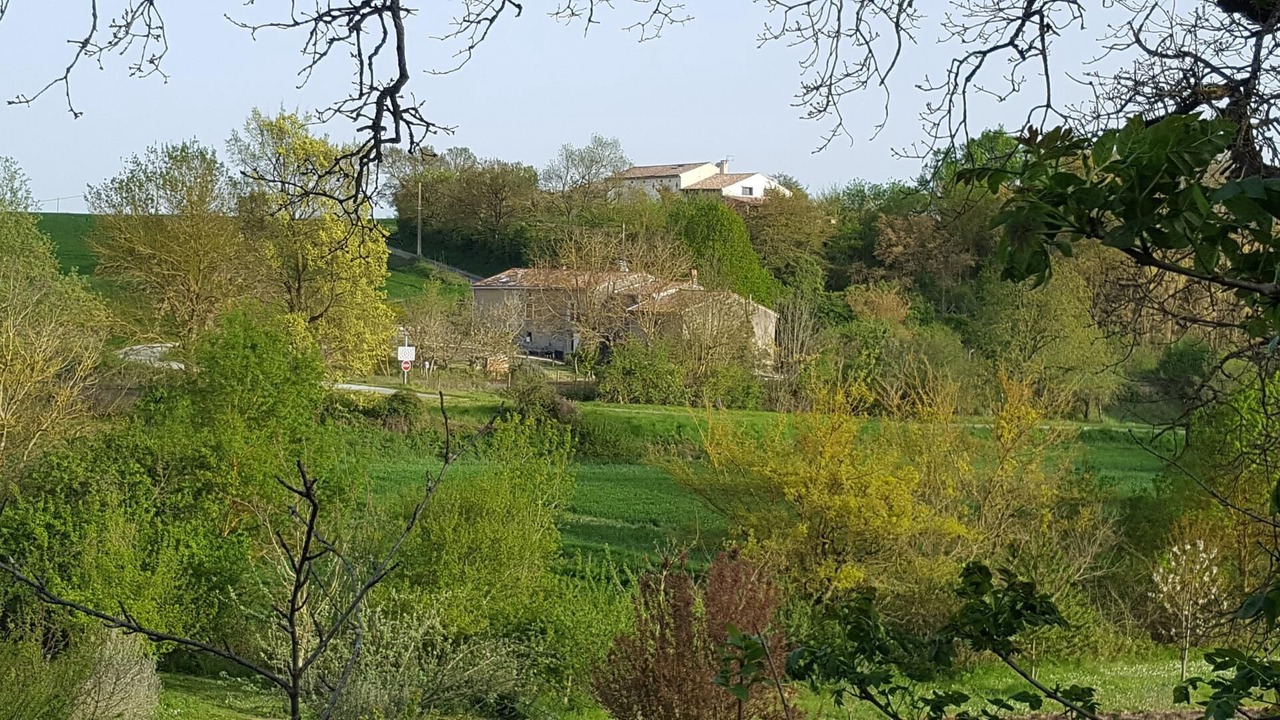 Photo of Outdoor in Saint-Felix-Lauragais