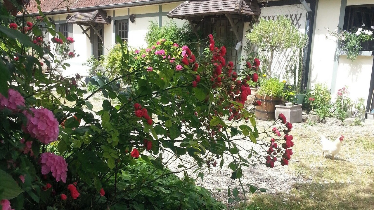Photo of Outdoor in Ancourt