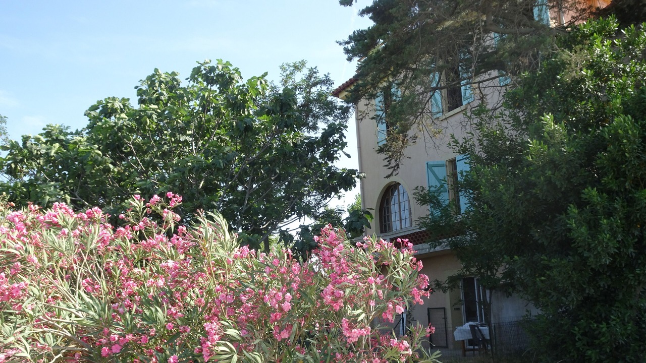 Photo of Outdoor in Gruissan