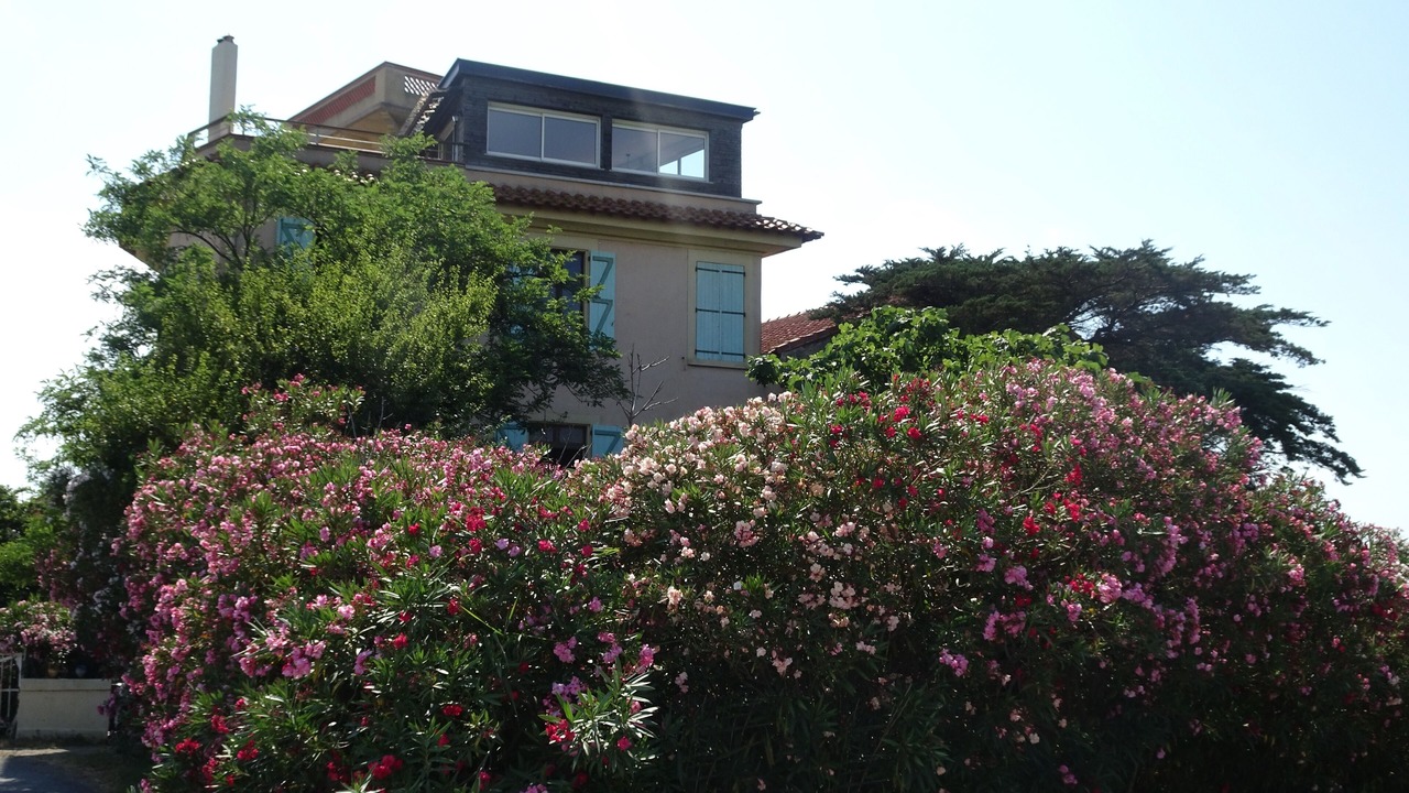 Photo of Outdoor in Gruissan