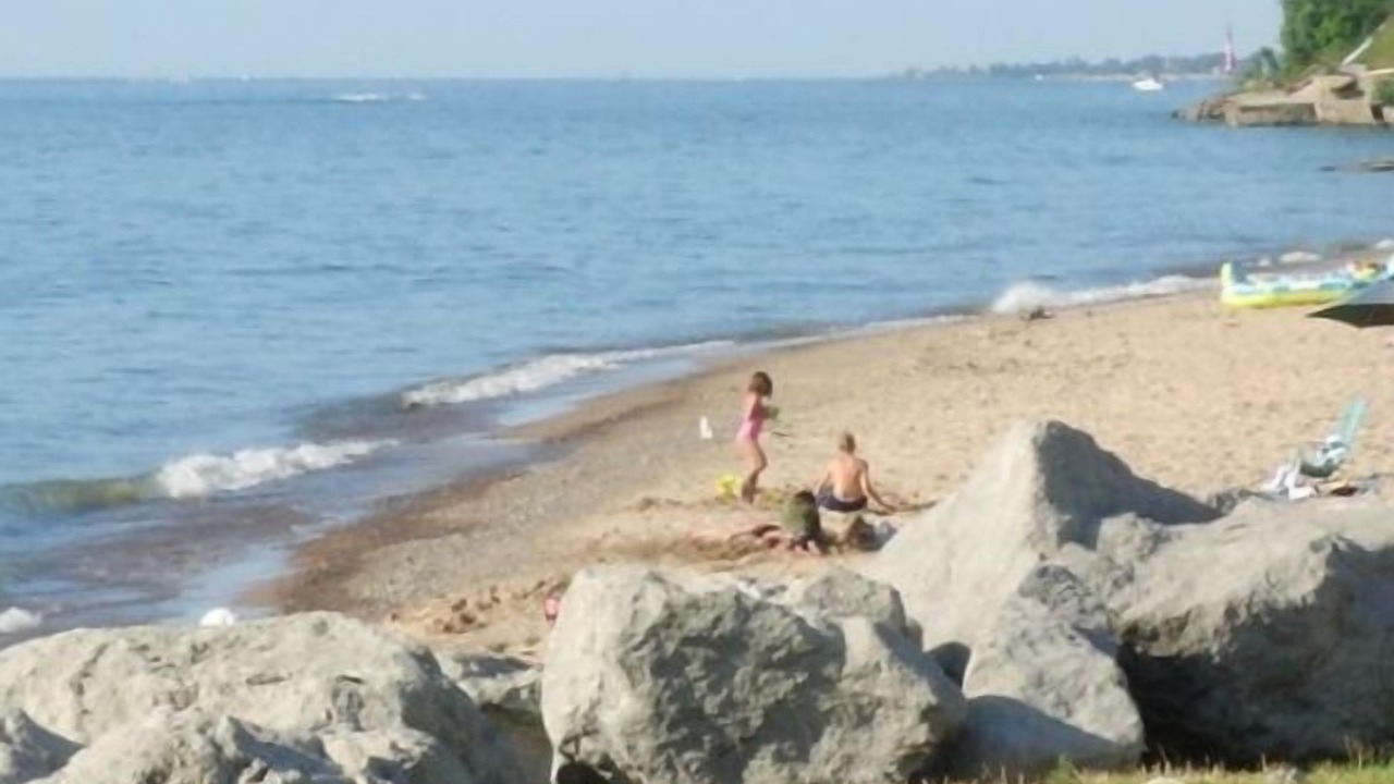 Photo of Others in Stevensville