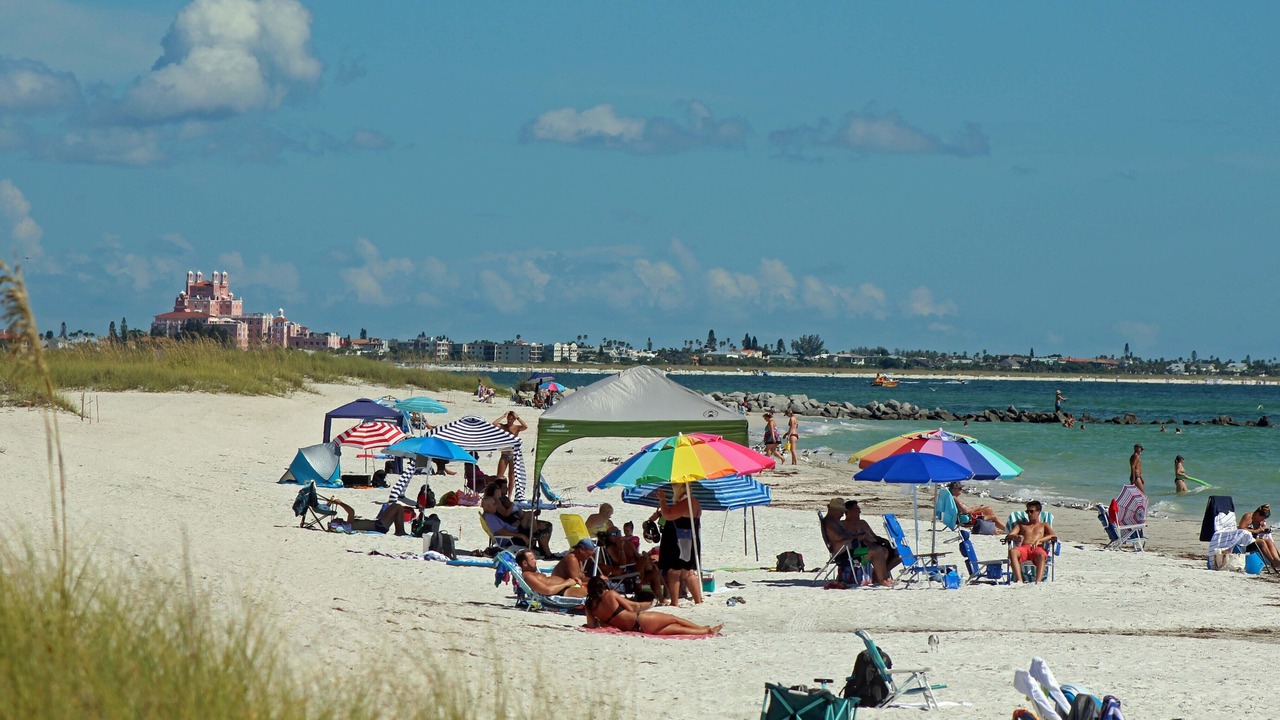 Photo of Others in St. Pete Beach