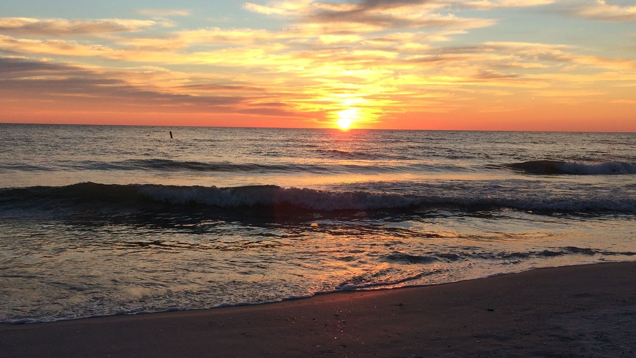 Photo of Others in St. Pete Beach
