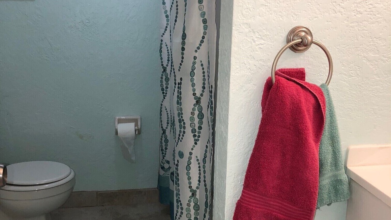 Photo of Bathroom in St. Pete Beach