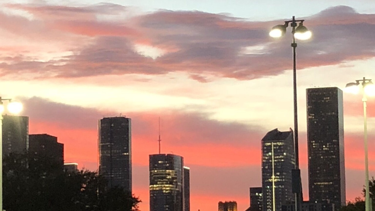 Photo of Others in South Central Houston