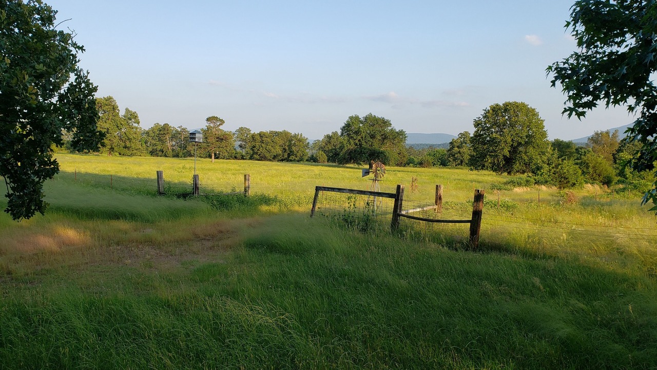 Photo of Others in Booneville