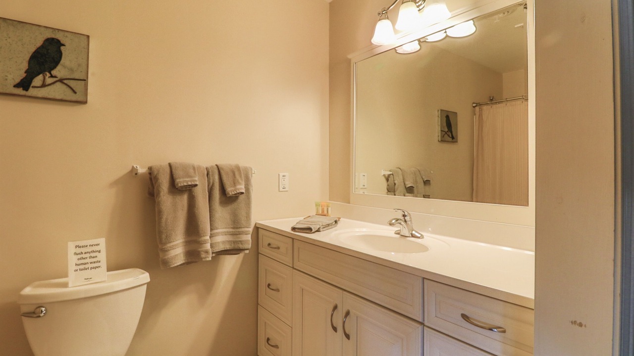 Photo of Bathroom in Kimberling City