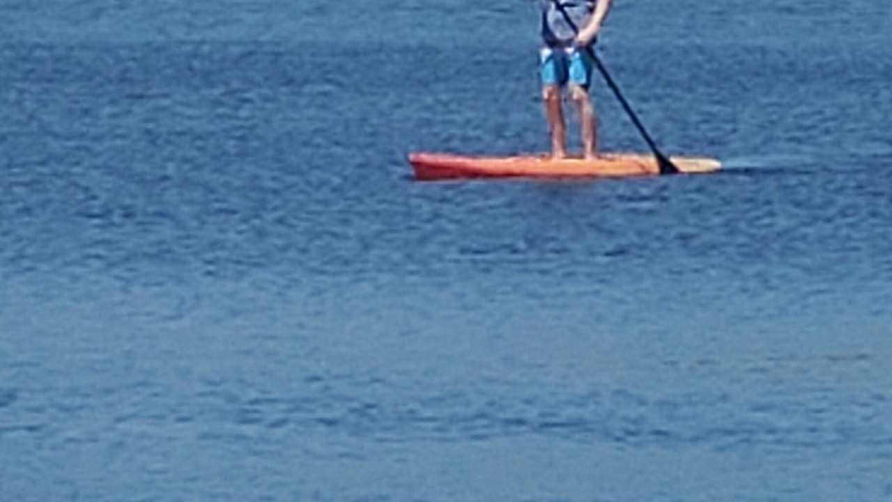 Photo of Others in Waterport