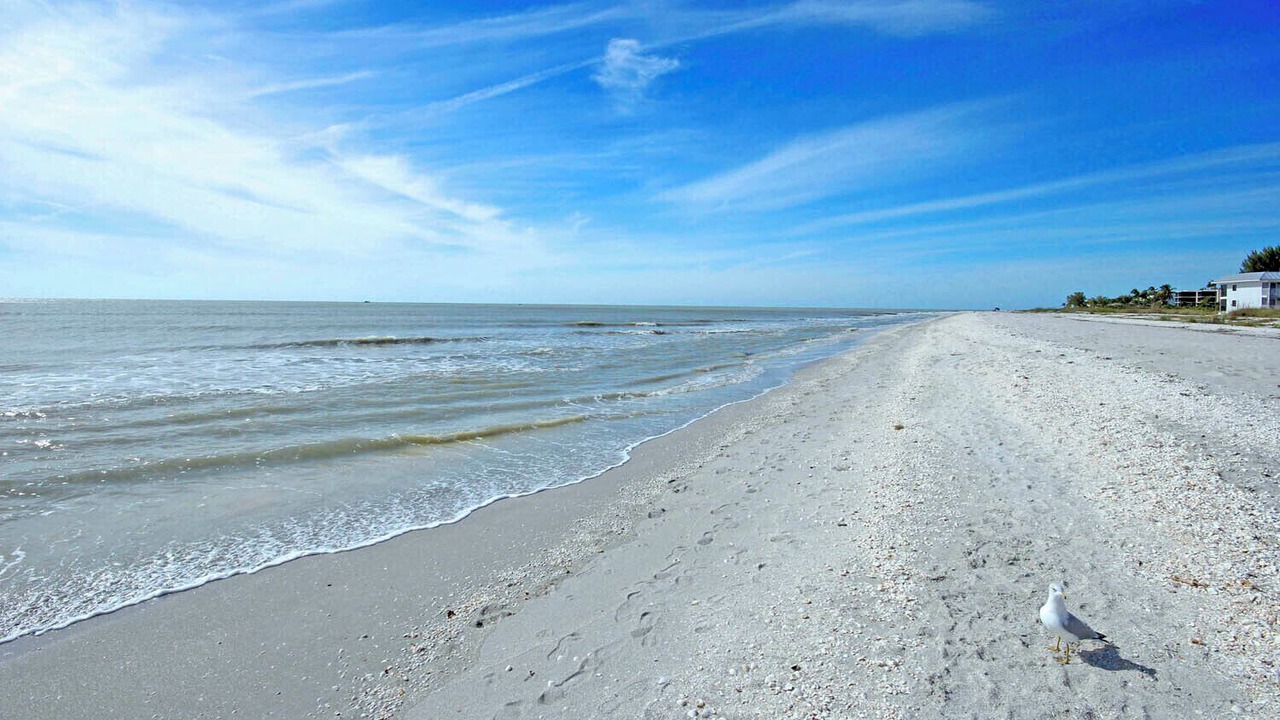Photo of Others in Captiva