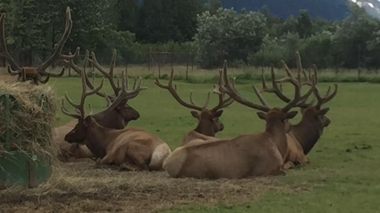 Photo of Outdoor in Sterling