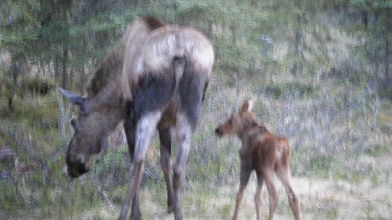 Photo of Outdoor in Sterling