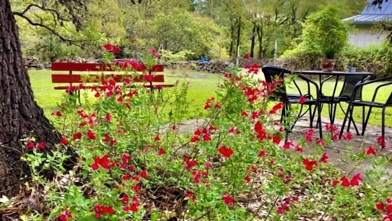 Photo of Outdoor in Dripping Springs
