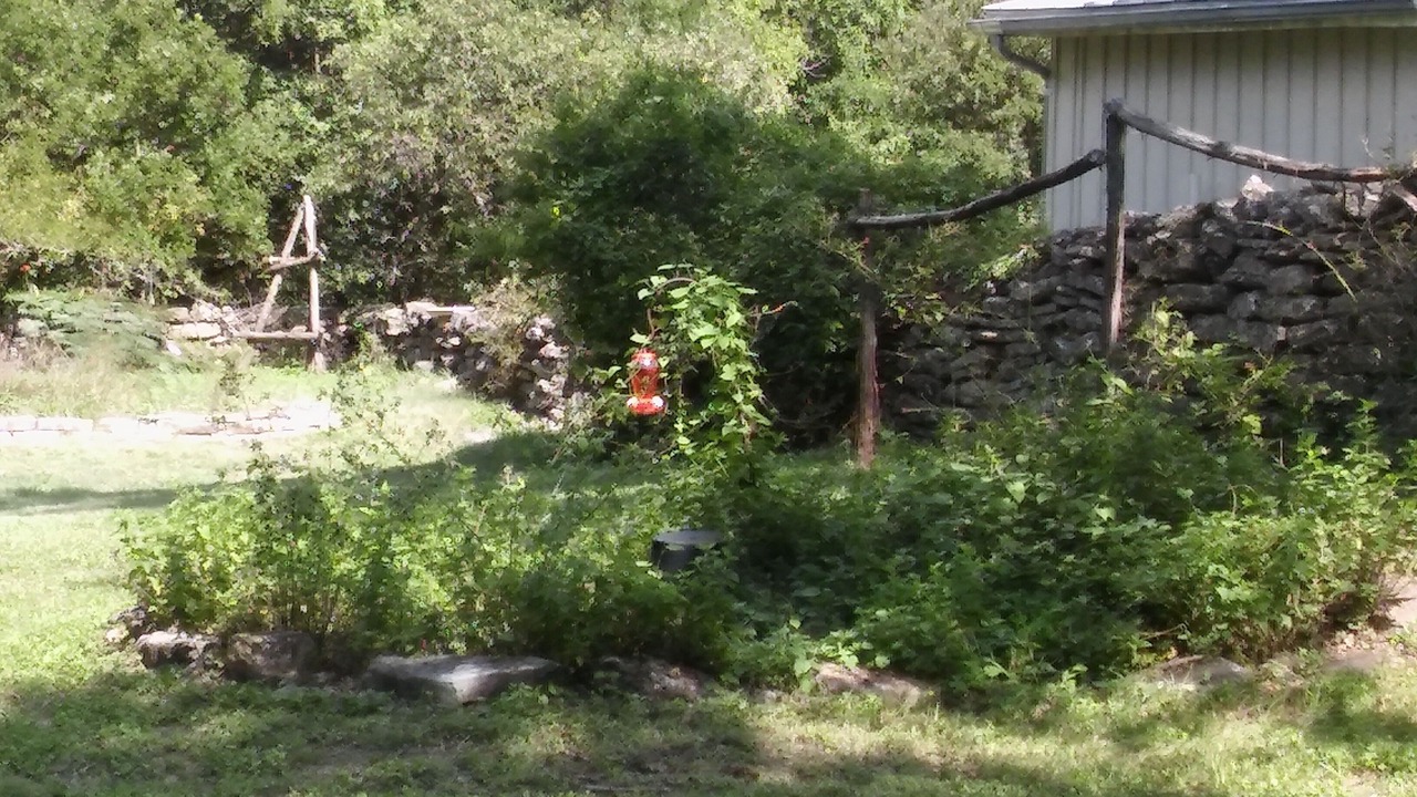 Photo of Others in Dripping Springs