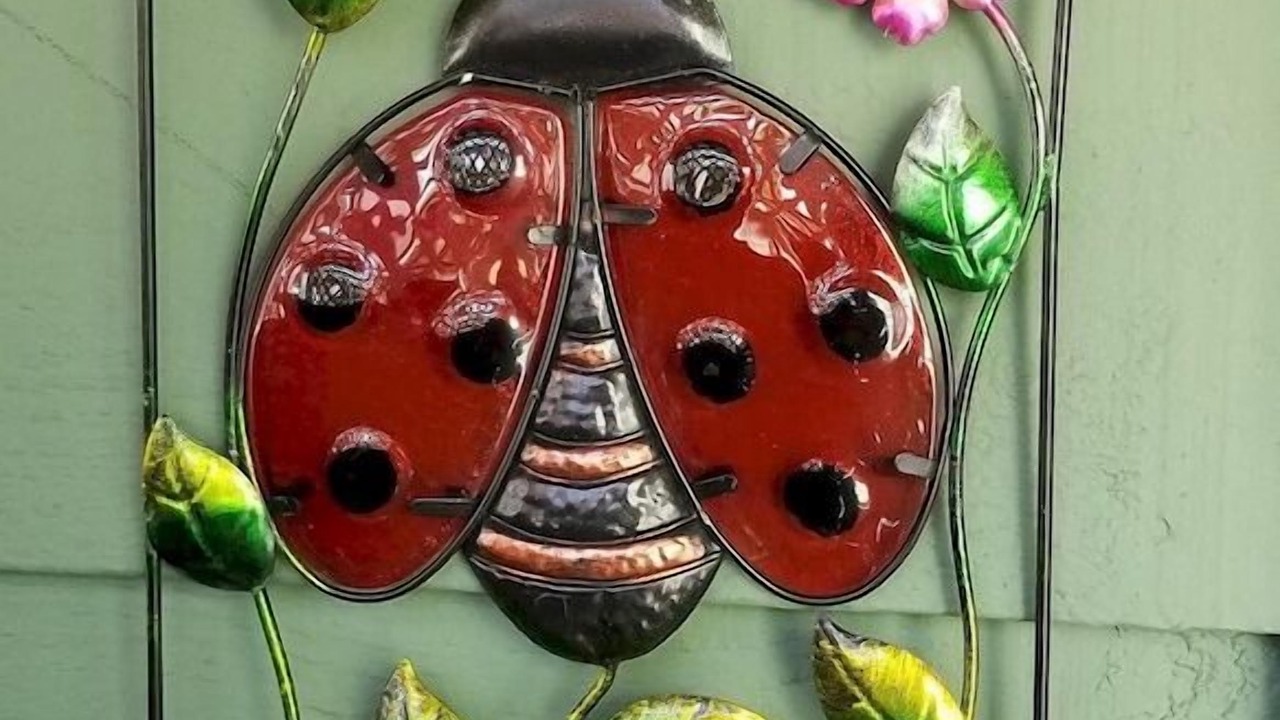 Photo of Others in Anacortes