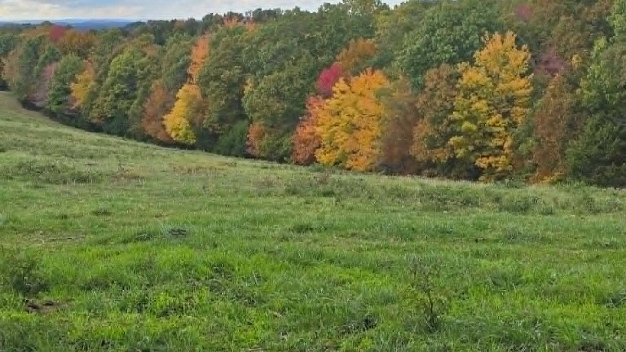 Photo of Others in Marshall