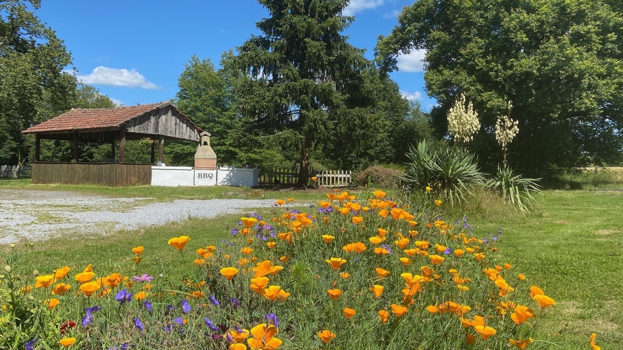 Photo of Outdoor in Blond