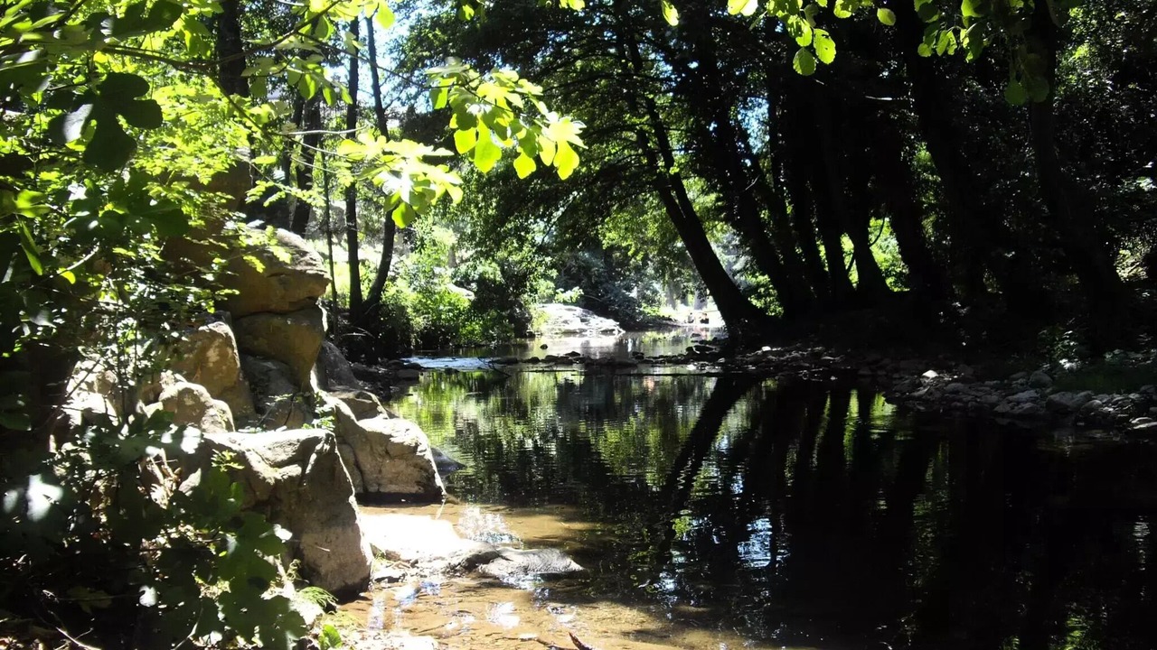 Photo of Others in Saint-Jean-de-Valeriscle