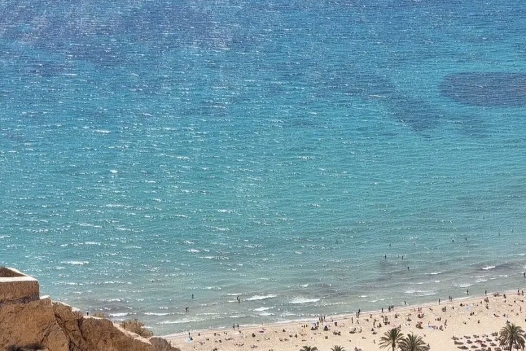 Photo of Others in San Juan de Alicante