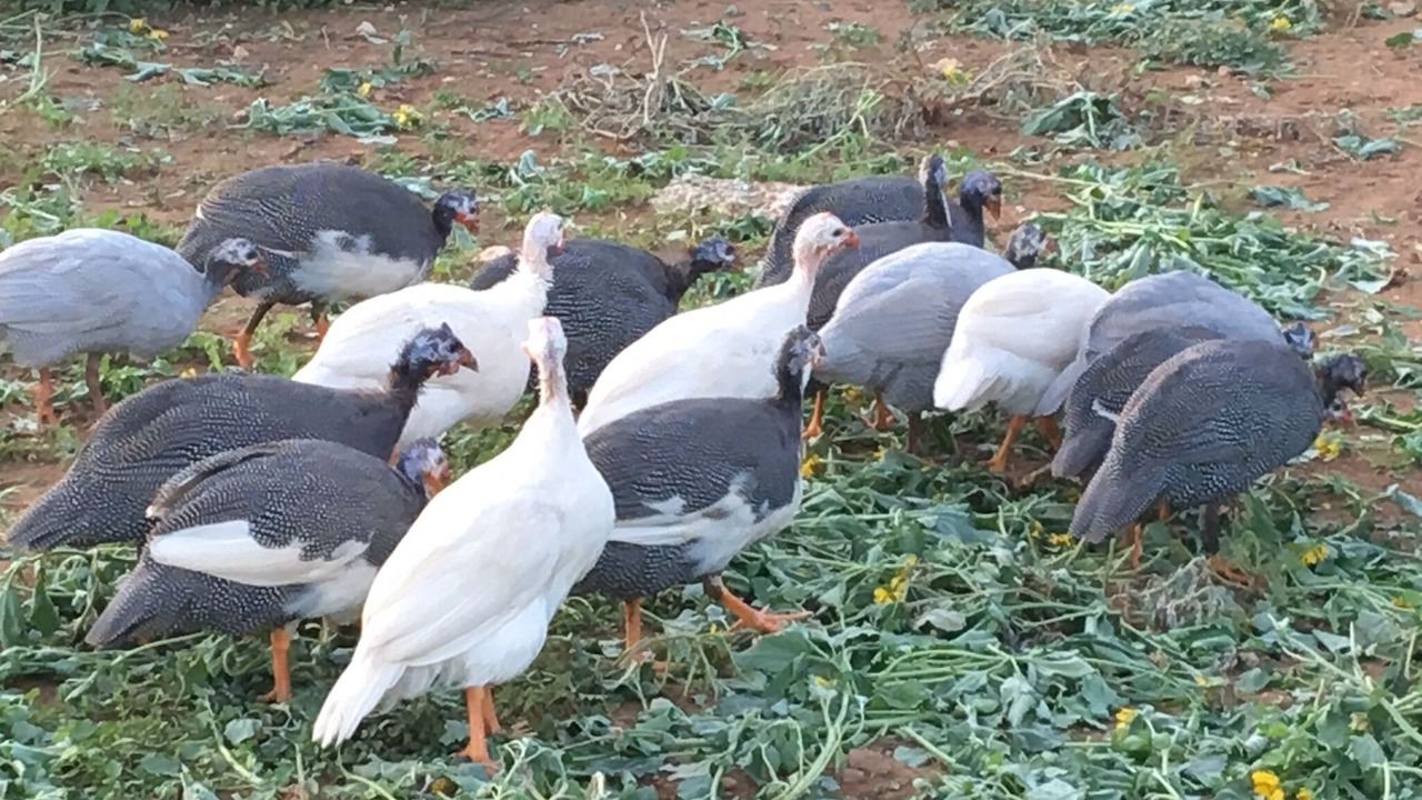 Photo of Others in Johnson City