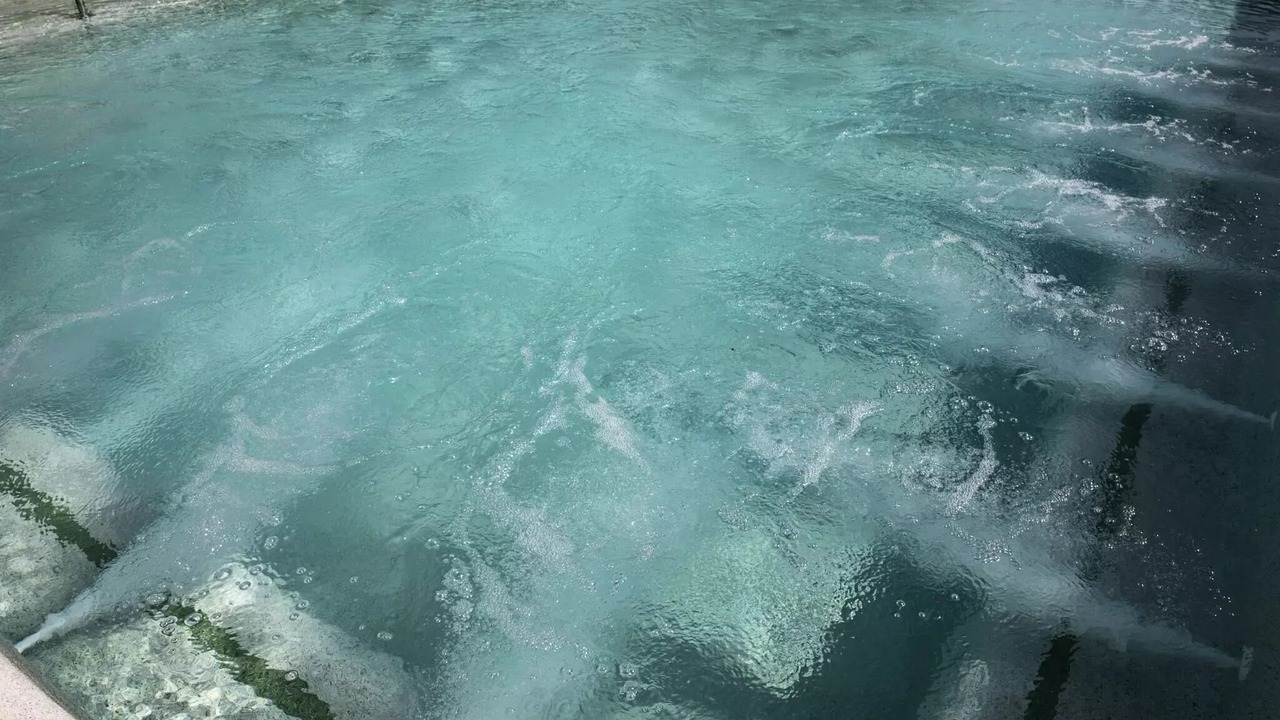 Photo of Others in Foix