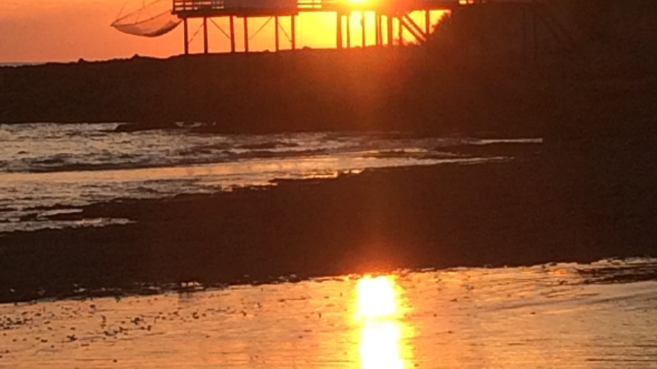 Photo of Others in Saint-Palais-sur-Mer