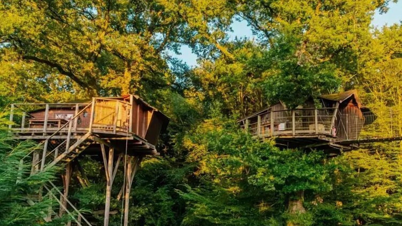 Photo of Others in Dienne