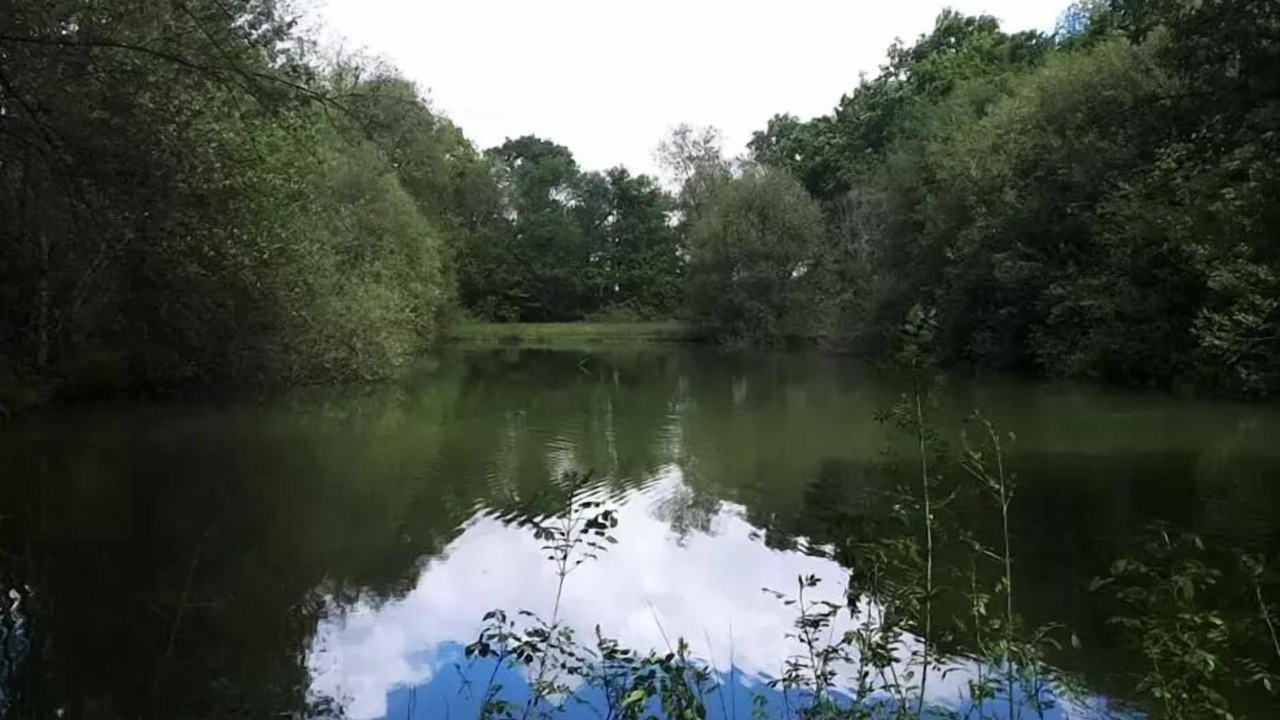 Photo of Others in Rives
