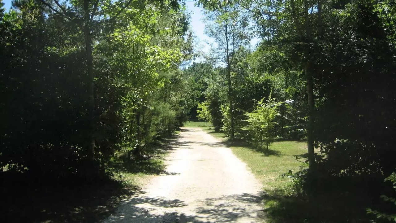 Photo of Others in Rives