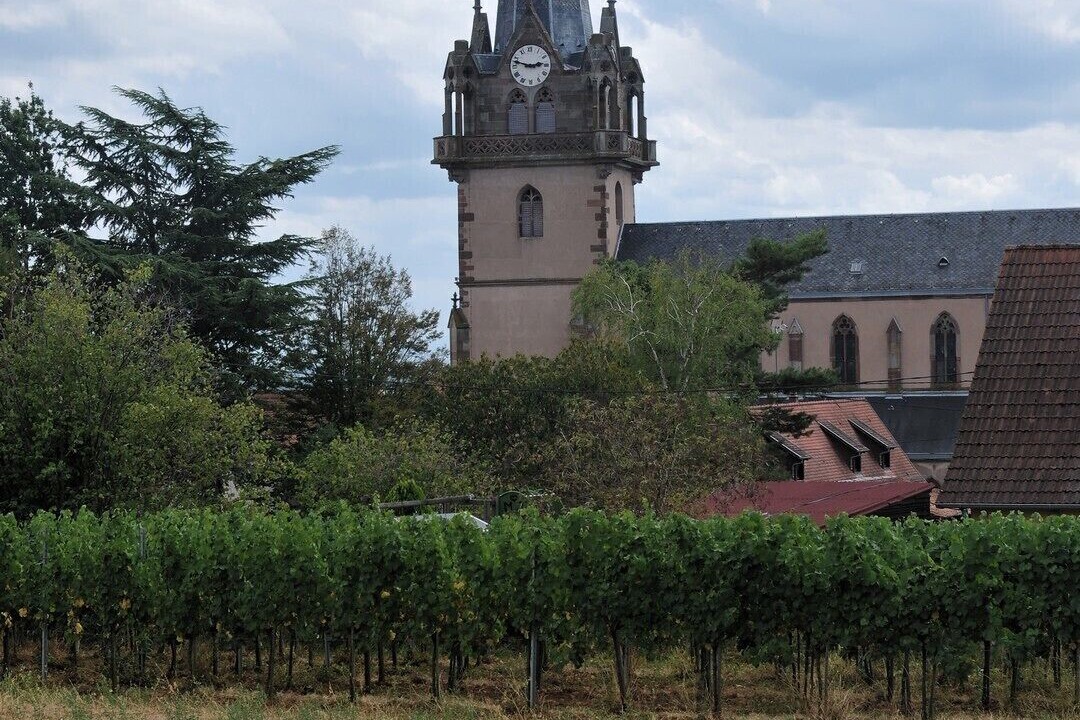 Photo of Outdoor in Bernardswiller