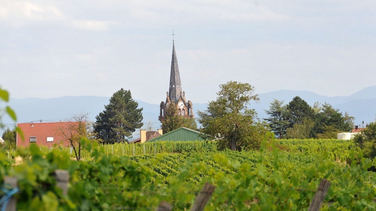 Photo of Outdoor in Bernardswiller