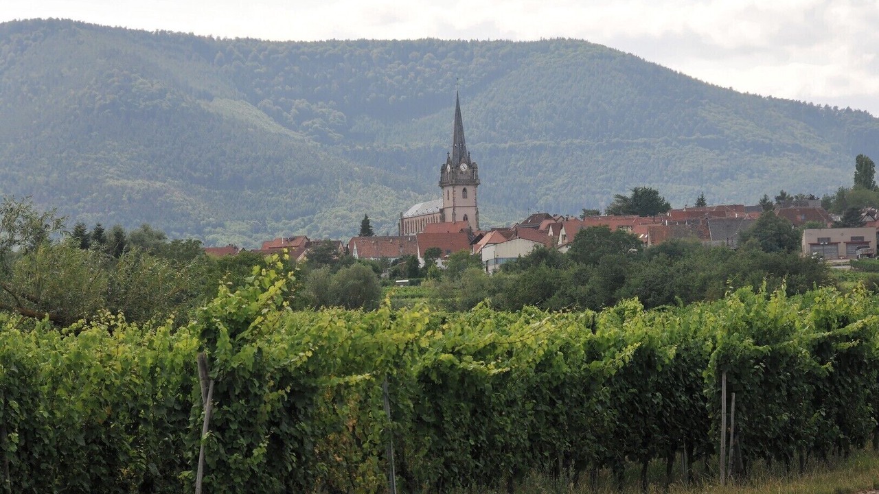 Photo of Outdoor in Bernardswiller