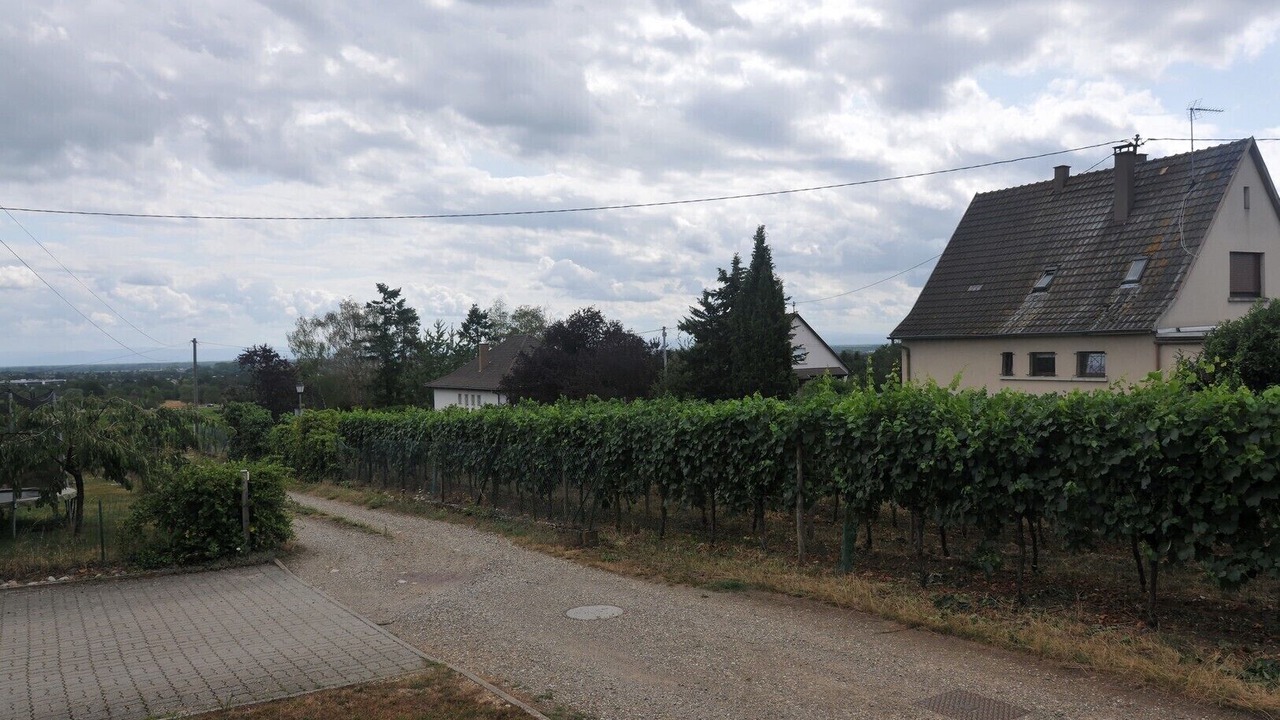 Photo of Outdoor in Bernardswiller