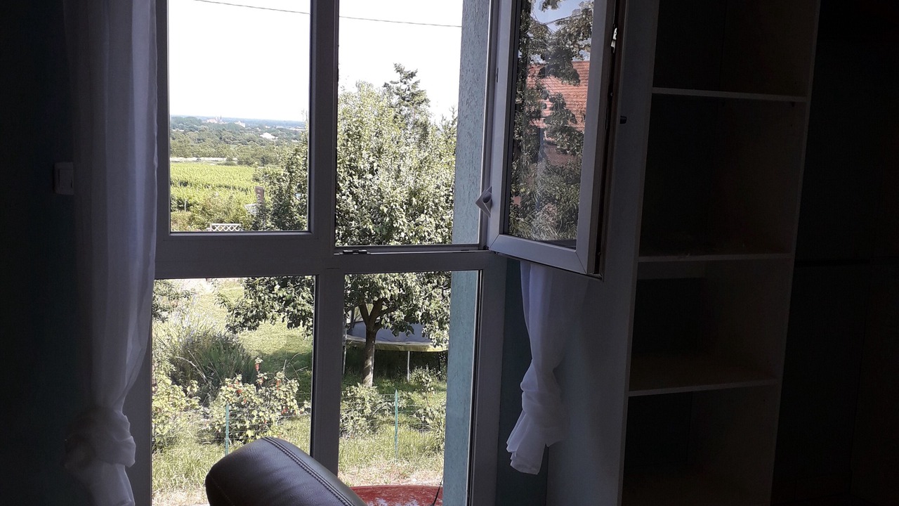 Photo of Others in Bernardswiller