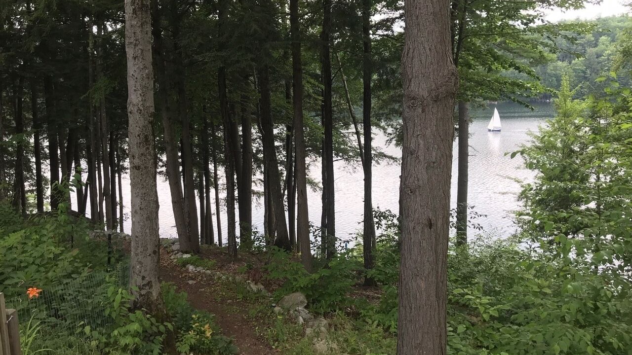 Photo of Outdoor in Forest Dale