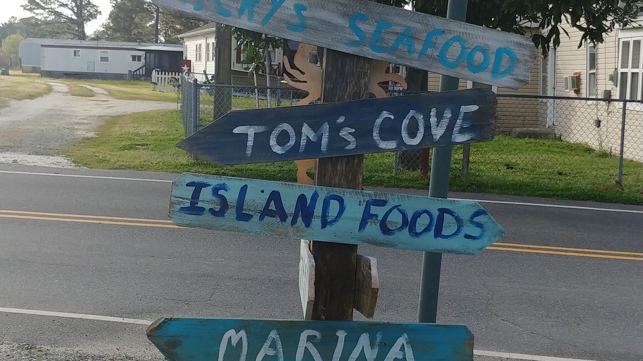 Photo of Outdoor in Chincoteague