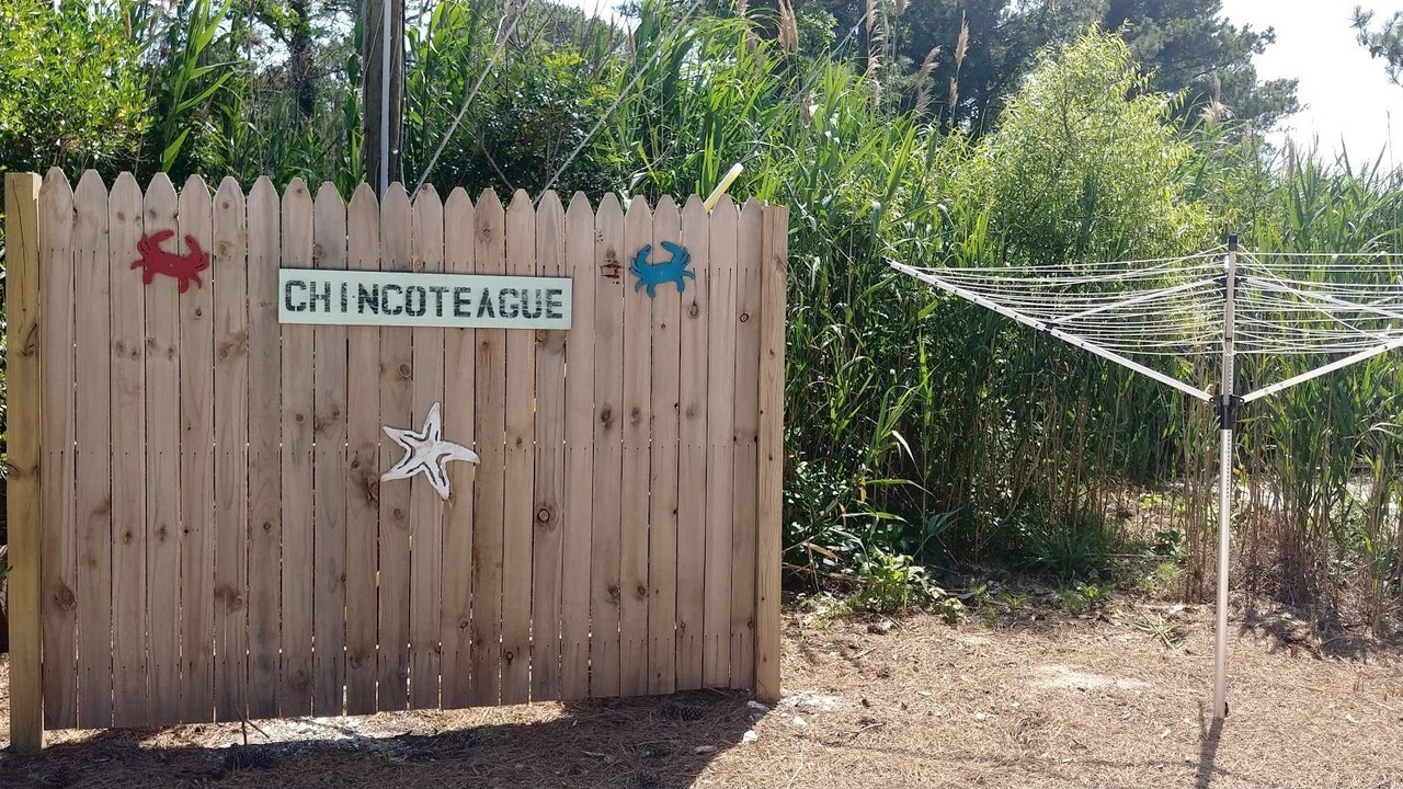 Photo of Outdoor in Chincoteague