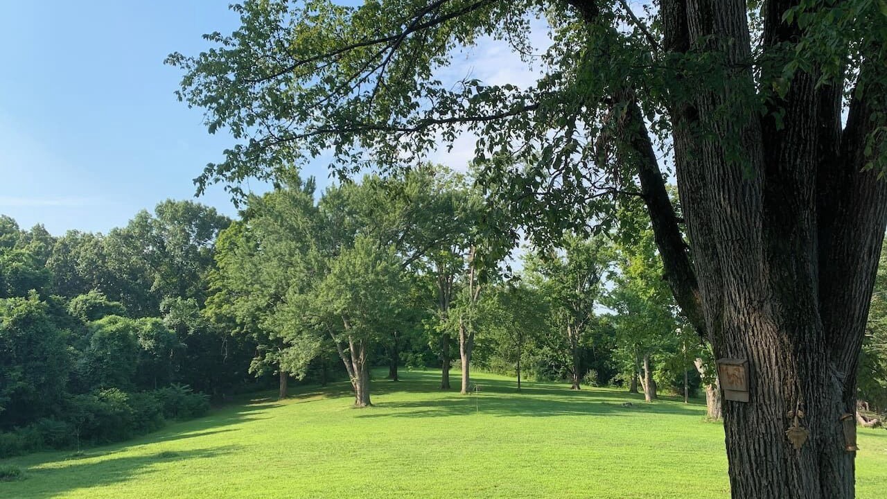 Photo of Others in Pevely