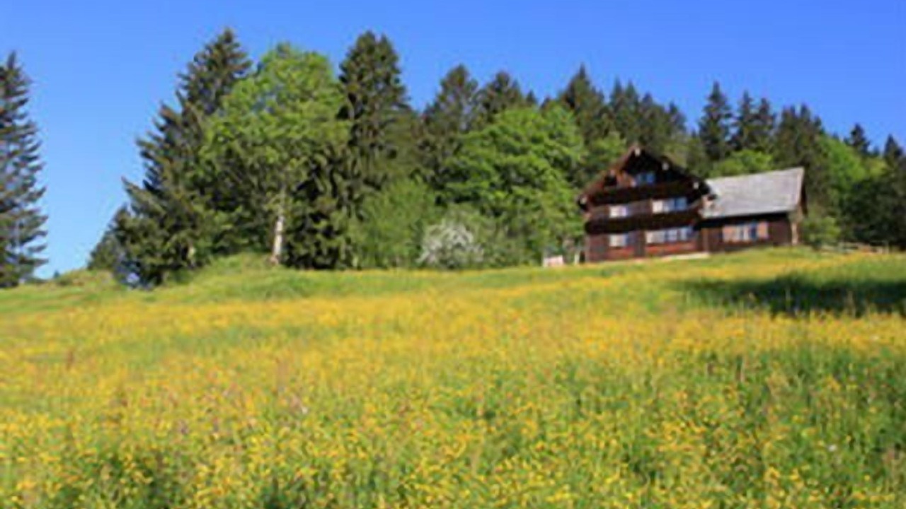 Photo of Others in Nesslau-Krummenau