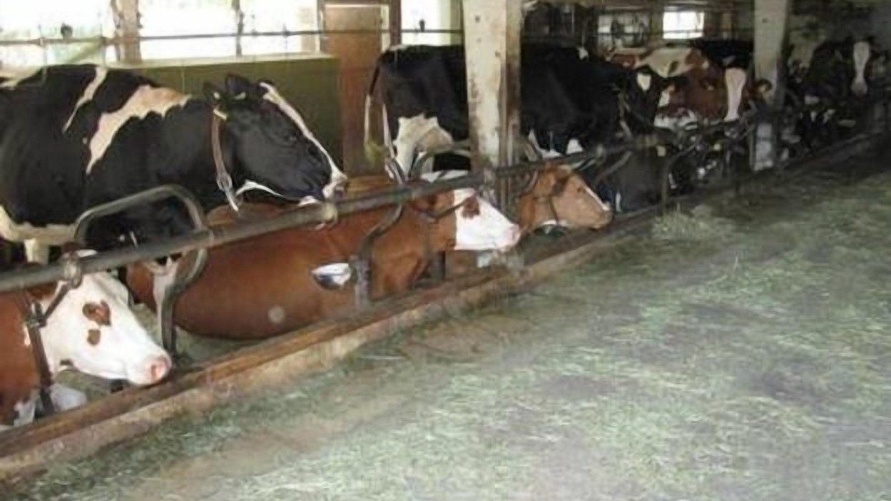 Photo of Others in Rohrbach