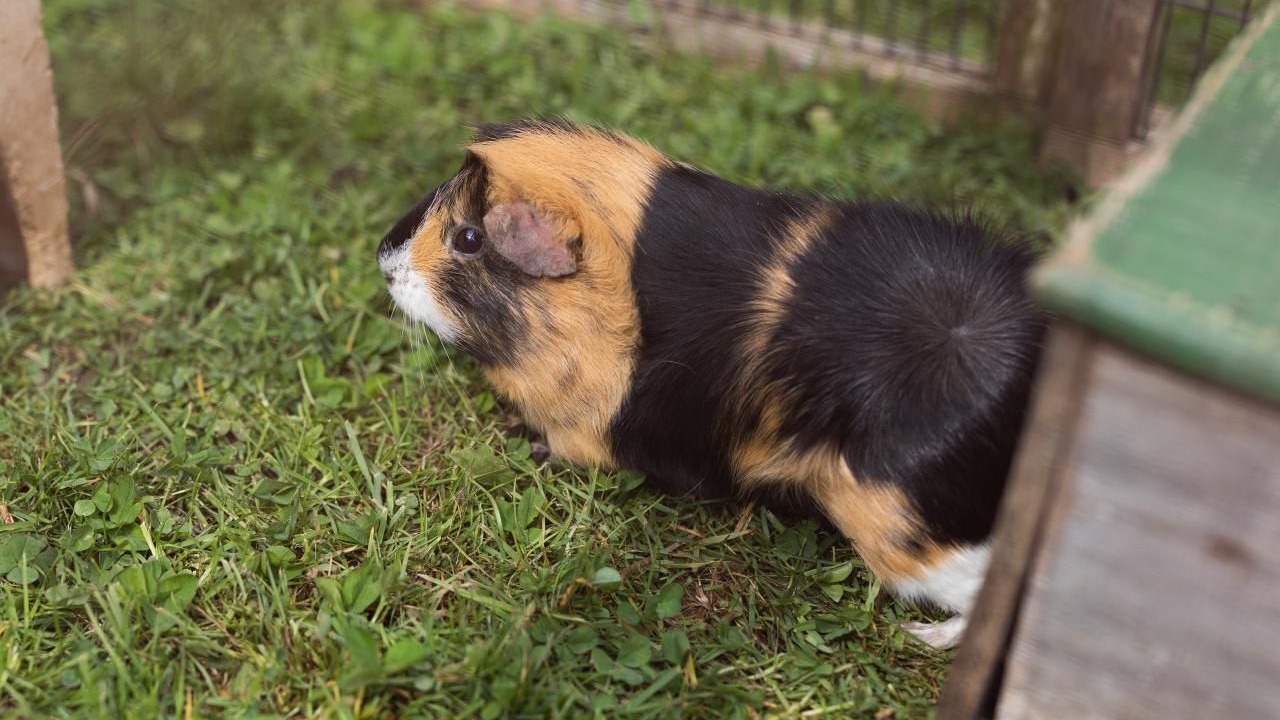 Photo of Others in Durrenroth