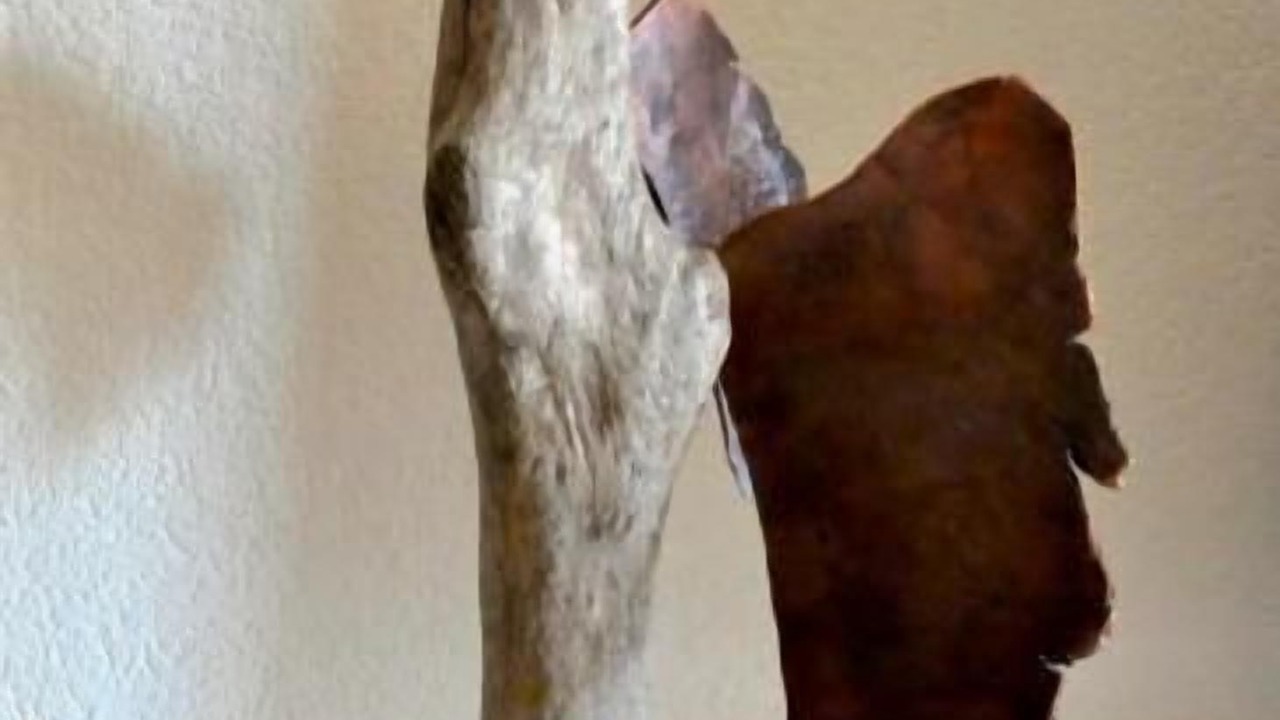Photo of Others in Wildhaus-Alt St. Johann