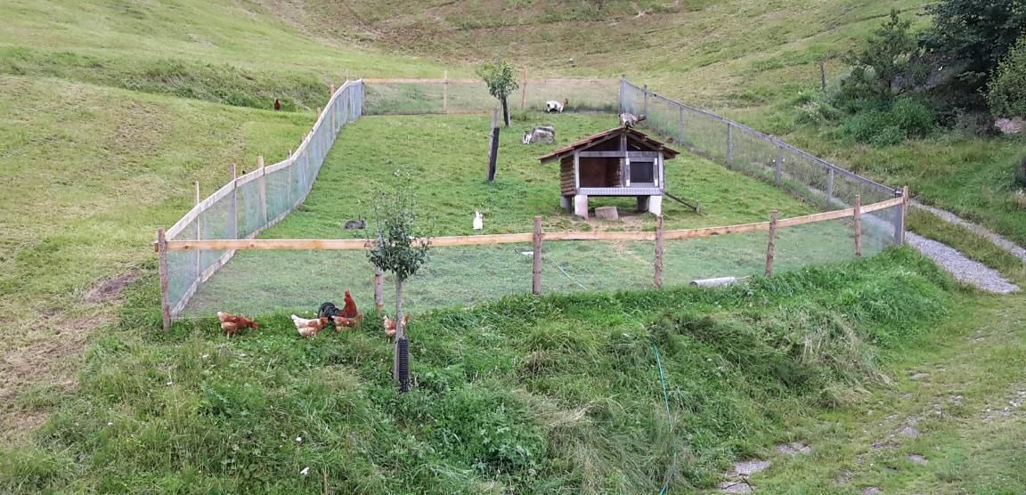 Photo of Others in Fluehli