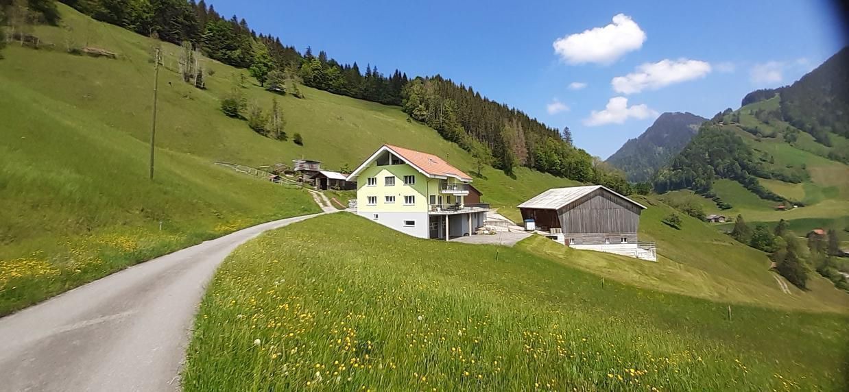 Photo of Others in Fluehli